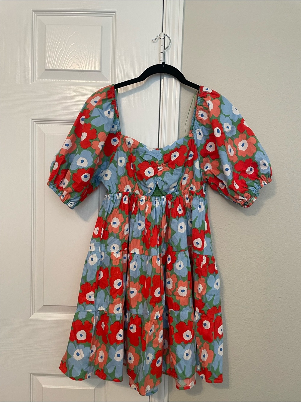 Altar'd State Red and Blue Floral Puff-Sleeve Mini Dress